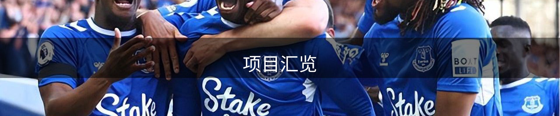 项目汇览